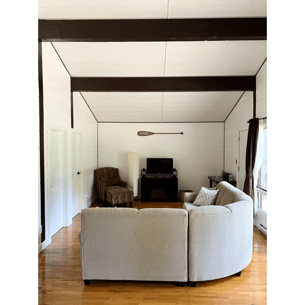 IMG 1552 Shiplap living room